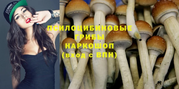 гидра Абинск