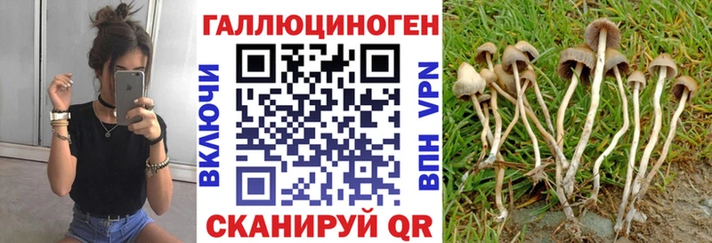 Псилоцибиновые грибы прущие грибы  магазин продажи наркотиков  Ачхой-Мартан 